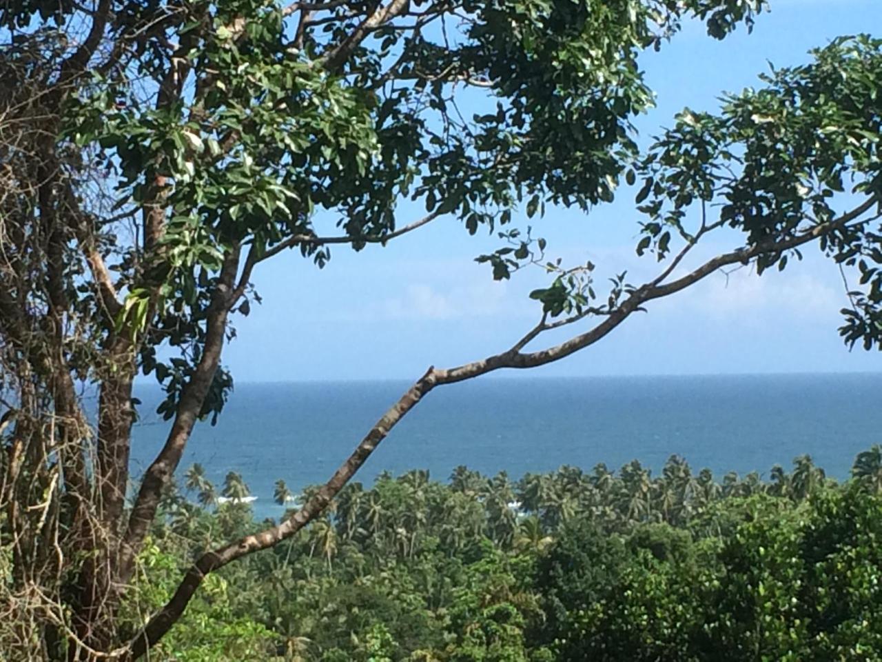 Tabula Rasa Resort & Spa Habaraduwa Ngoại thất bức ảnh