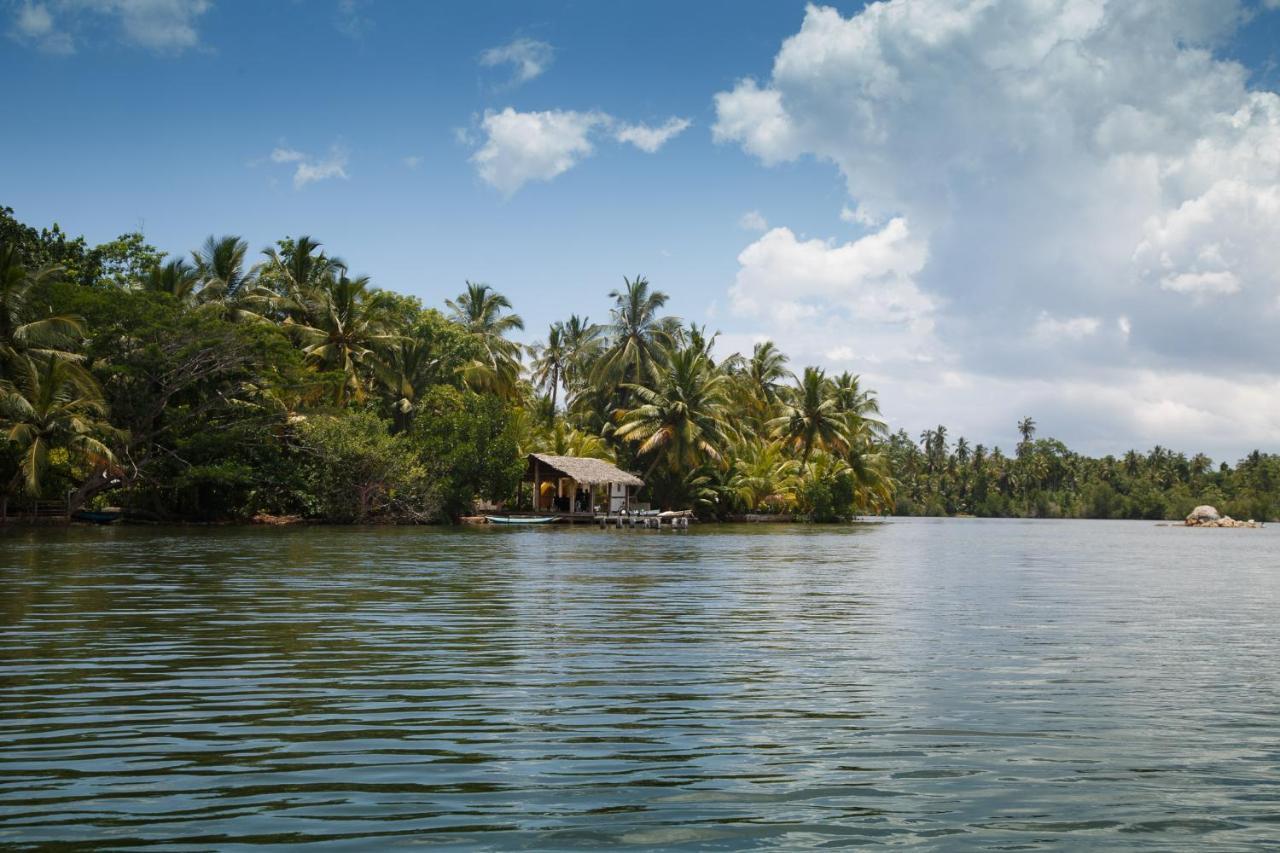 Tabula Rasa Resort & Spa Habaraduwa Ngoại thất bức ảnh